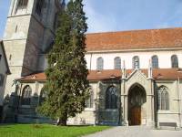 La cathédrale à Constance